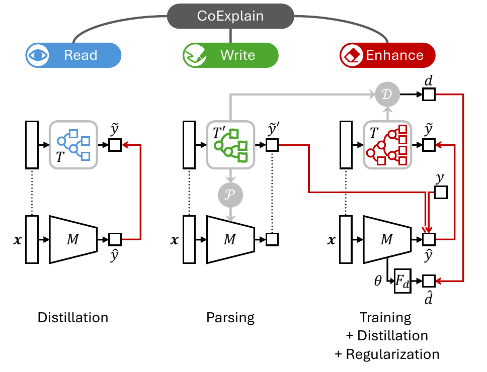 Figure 2: Read distills a neural network into a decision tree; Write parses the user's tree into a network; Enhance trains and distills with prediction and topology regularization.
